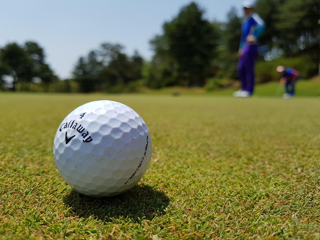 タイトリスト Pro V1 ゴルフボールのイメージ