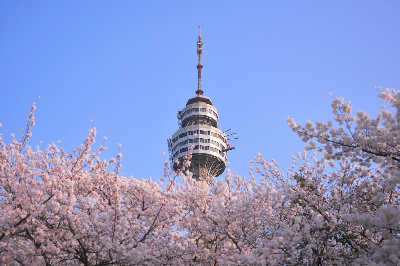 市貝町の花畑のイメージ